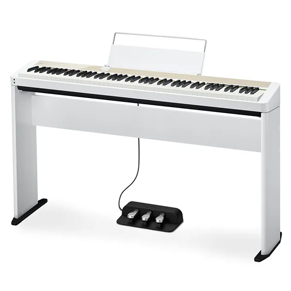 Music City – Tổng Kho Piano, Guitar, Organ | Dịch Vụ Giáo Dục Âm Nhạc