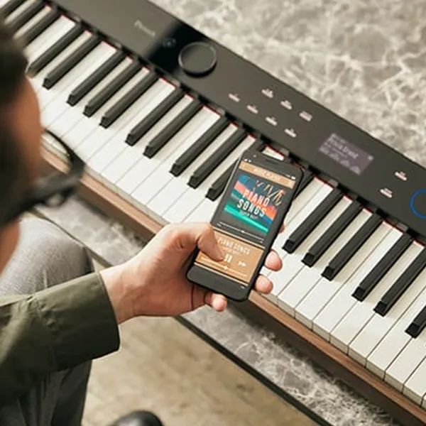 Music City – Tổng Kho Piano, Guitar, Organ | Dịch Vụ Giáo Dục Âm Nhạc