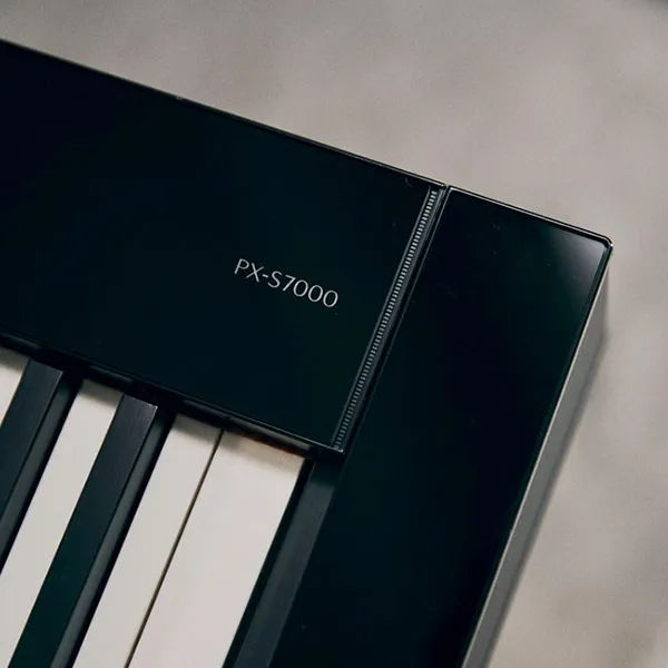 Music City – Tổng Kho Piano, Guitar, Organ | Dịch Vụ Giáo Dục Âm Nhạc