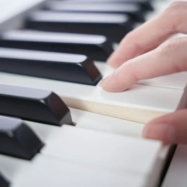 Music City – Tổng Kho Piano, Guitar, Organ | Dịch Vụ Giáo Dục Âm Nhạc