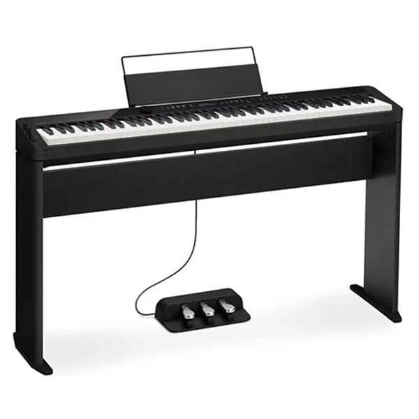 Music City – Tổng Kho Piano, Guitar, Organ | Dịch Vụ Giáo Dục Âm Nhạc