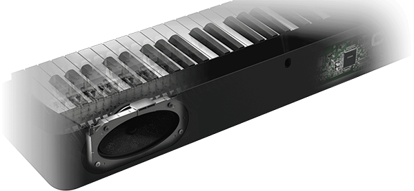 Music City – Tổng Kho Piano, Guitar, Organ | Dịch Vụ Giáo Dục Âm Nhạc