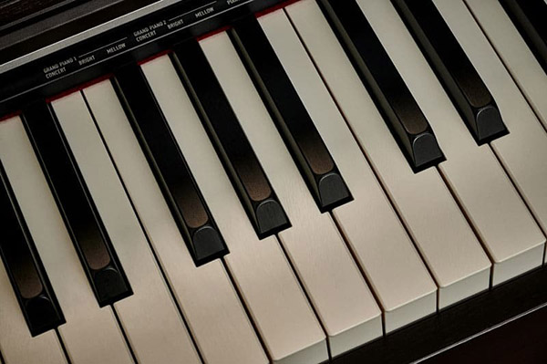 Music City – Tổng Kho Piano, Guitar, Organ | Dịch Vụ Giáo Dục Âm Nhạc