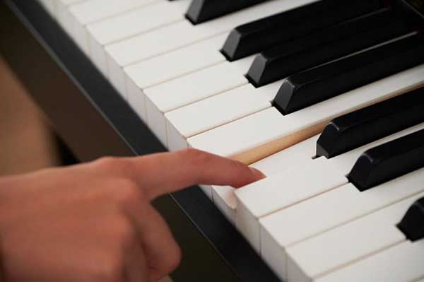 Music City – Tổng Kho Piano, Guitar, Organ | Dịch Vụ Giáo Dục Âm Nhạc