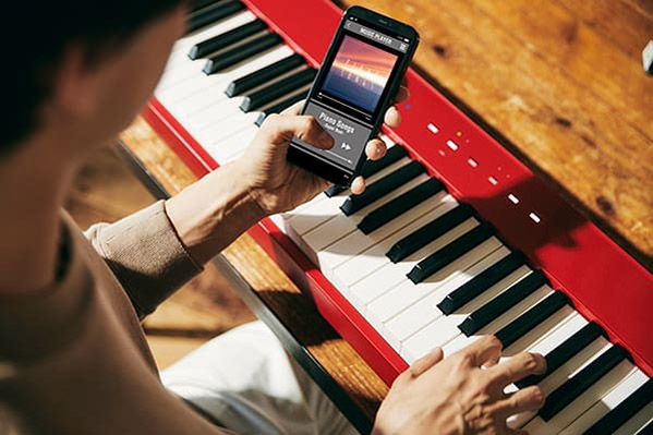 Music City – Tổng Kho Piano, Guitar, Organ | Dịch Vụ Giáo Dục Âm Nhạc