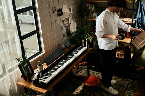 Music City – Tổng Kho Piano, Guitar, Organ | Dịch Vụ Giáo Dục Âm Nhạc