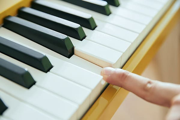 Music City – Tổng Kho Piano, Guitar, Organ | Dịch Vụ Giáo Dục Âm Nhạc