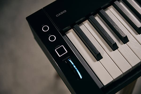 Music City – Tổng Kho Piano, Guitar, Organ | Dịch Vụ Giáo Dục Âm Nhạc