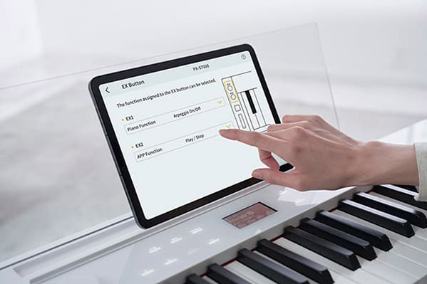 Music City – Tổng Kho Piano, Guitar, Organ | Dịch Vụ Giáo Dục Âm Nhạc