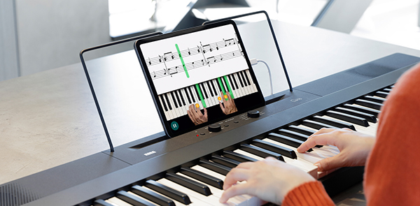 Music City – Tổng Kho Piano, Guitar, Organ | Dịch Vụ Giáo Dục Âm Nhạc