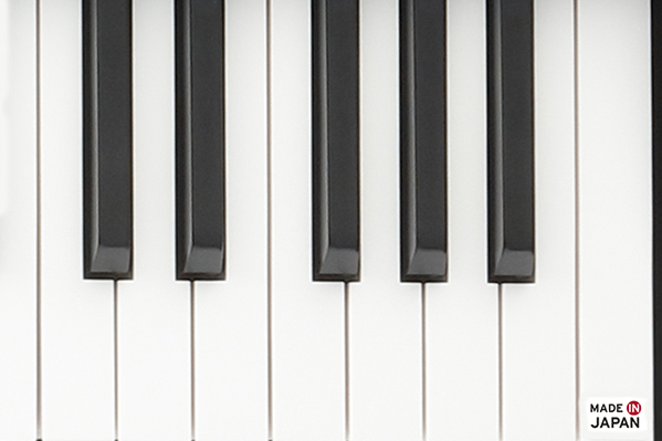 Music City – Tổng Kho Piano, Guitar, Organ | Dịch Vụ Giáo Dục Âm Nhạc