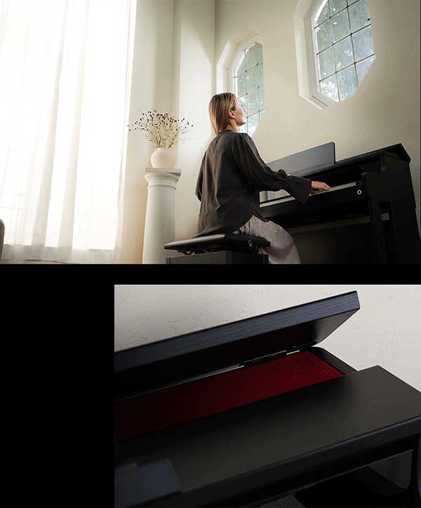 Music City – Tổng Kho Piano, Guitar, Organ | Dịch Vụ Giáo Dục Âm Nhạc