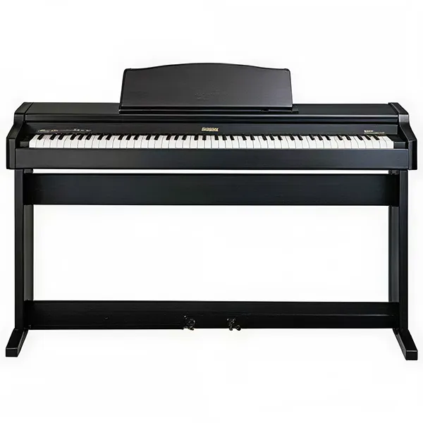 Music City – Tổng Kho Piano, Guitar, Organ | Dịch Vụ Giáo Dục Âm Nhạc