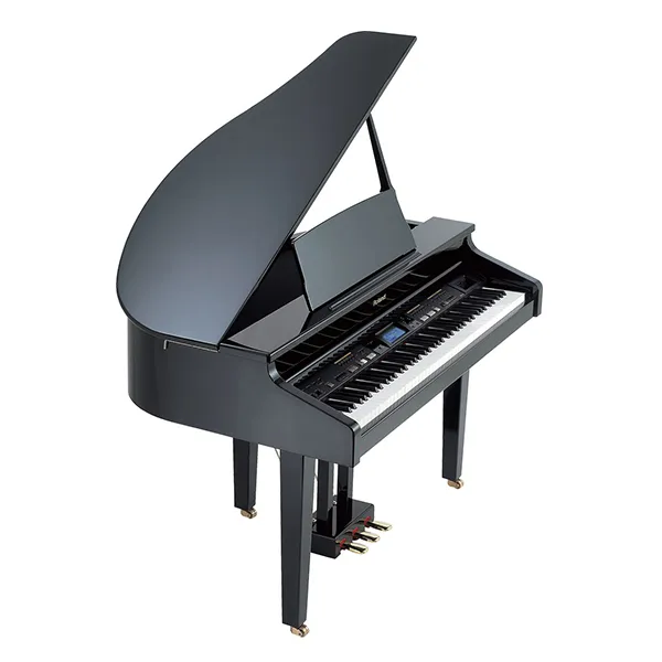 Music City – Tổng Kho Piano, Guitar, Organ | Dịch Vụ Giáo Dục Âm Nhạc
