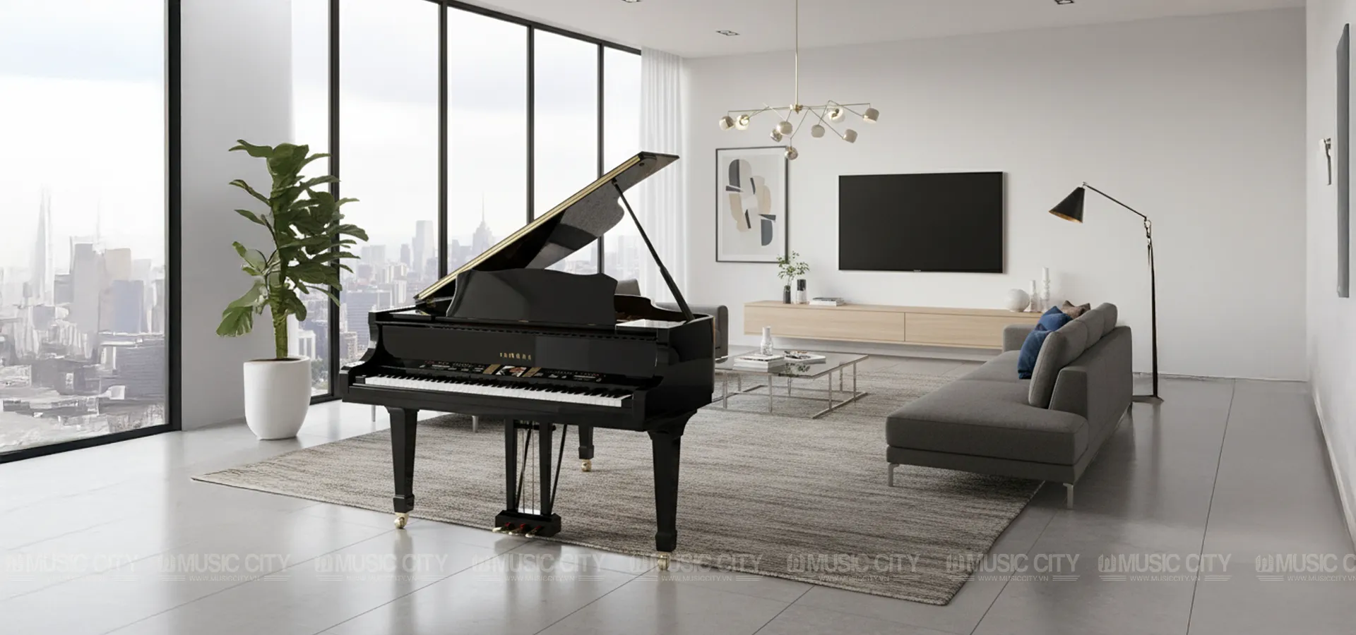 Music City – Tổng Kho Piano, Guitar, Organ | Dịch Vụ Giáo Dục Âm Nhạc