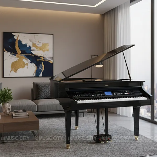 Music City – Tổng Kho Piano, Guitar, Organ | Dịch Vụ Giáo Dục Âm Nhạc