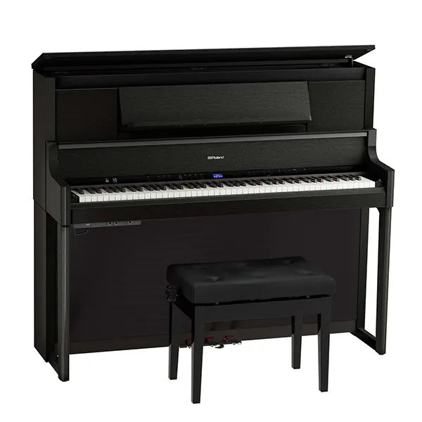 Music City – Tổng Kho Piano, Guitar, Organ | Dịch Vụ Giáo Dục Âm Nhạc