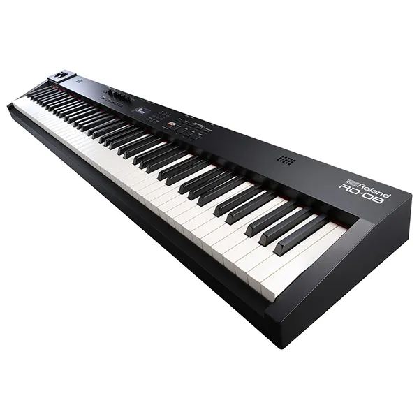 Music City – Tổng Kho Piano, Guitar, Organ | Dịch Vụ Giáo Dục Âm Nhạc