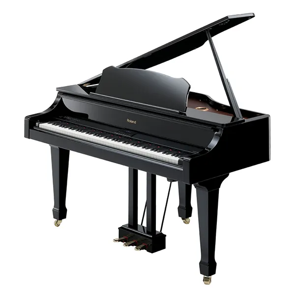 Music City – Tổng Kho Piano, Guitar, Organ | Dịch Vụ Giáo Dục Âm Nhạc