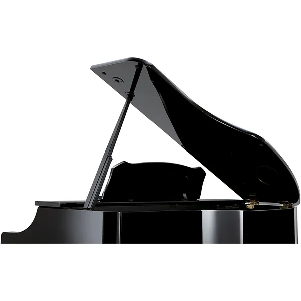Music City – Tổng Kho Piano, Guitar, Organ | Dịch Vụ Giáo Dục Âm Nhạc
