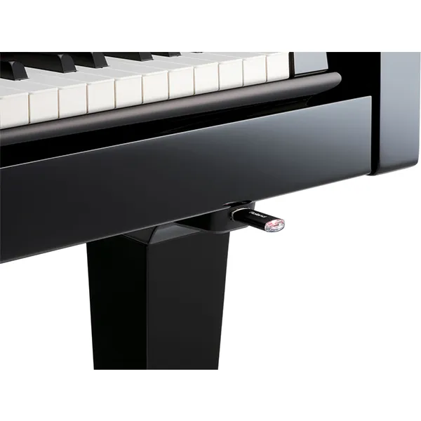 Music City – Tổng Kho Piano, Guitar, Organ | Dịch Vụ Giáo Dục Âm Nhạc
