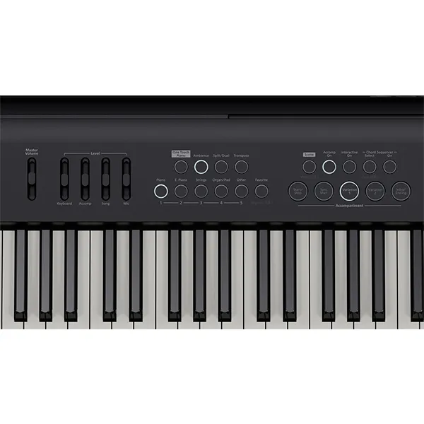 Music City – Tổng Kho Piano, Guitar, Organ | Dịch Vụ Giáo Dục Âm Nhạc