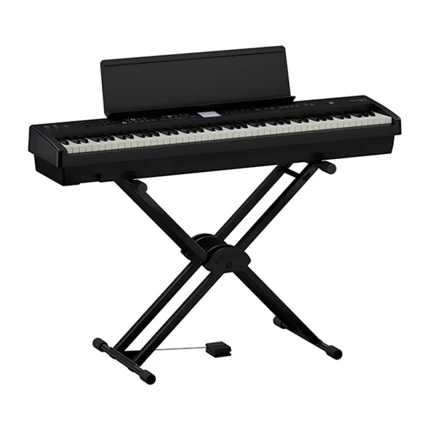 Music City – Tổng Kho Piano, Guitar, Organ | Dịch Vụ Giáo Dục Âm Nhạc