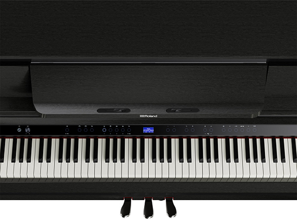 Music City – Tổng Kho Piano, Guitar, Organ | Dịch Vụ Giáo Dục Âm Nhạc