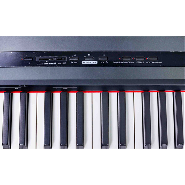 Music City – Tổng Kho Piano, Guitar, Organ | Dịch Vụ Giáo Dục Âm Nhạc