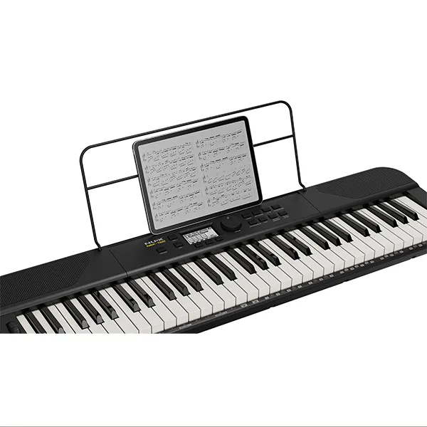 Music City – Tổng Kho Piano, Guitar, Organ | Dịch Vụ Giáo Dục Âm Nhạc