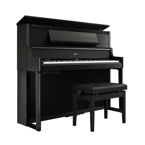 Music City – Tổng Kho Piano, Guitar, Organ | Dịch Vụ Giáo Dục Âm Nhạc