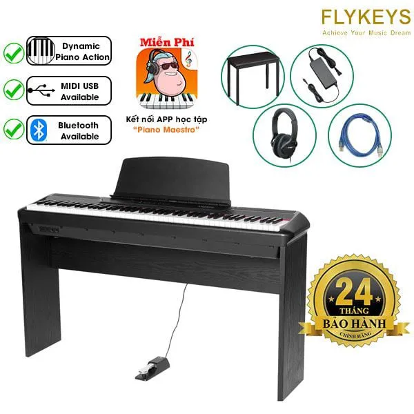 Music City – Tổng Kho Piano, Guitar, Organ | Dịch Vụ Giáo Dục Âm Nhạc