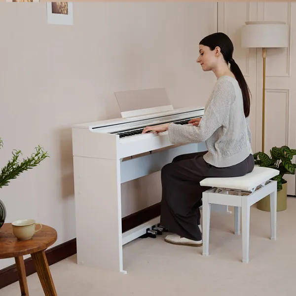 Music City – Tổng Kho Piano, Guitar, Organ | Dịch Vụ Giáo Dục Âm Nhạc