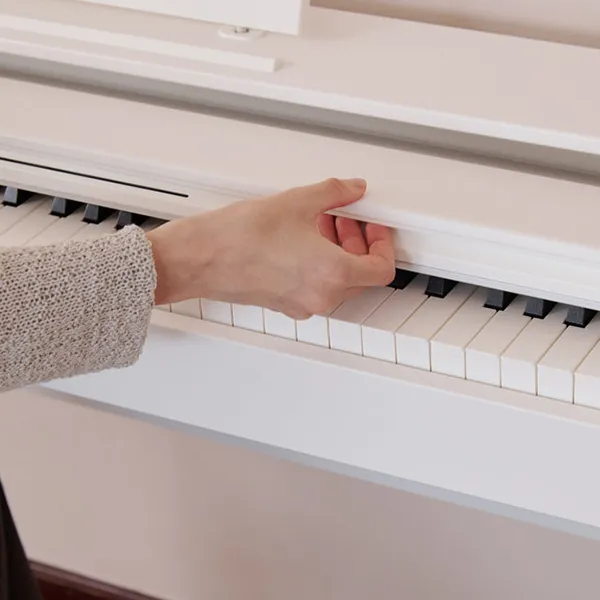 Music City – Tổng Kho Piano, Guitar, Organ | Dịch Vụ Giáo Dục Âm Nhạc