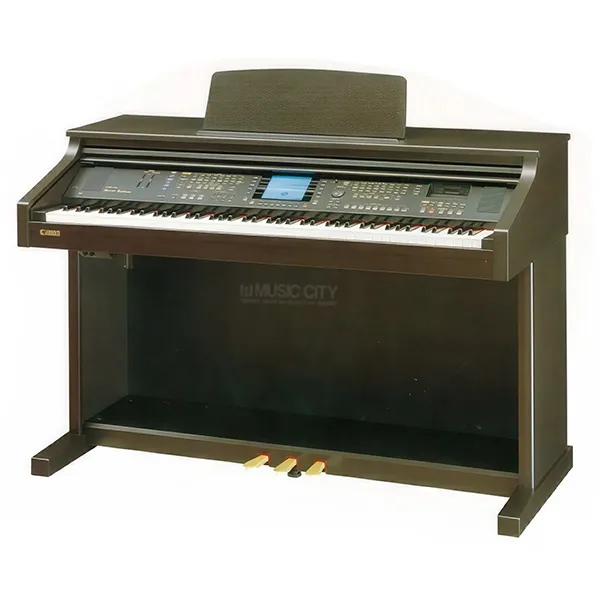 Music City – Tổng Kho Piano, Guitar, Organ | Dịch Vụ Giáo Dục Âm Nhạc