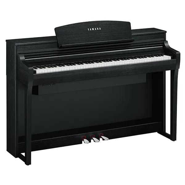 Music City – Tổng Kho Piano, Guitar, Organ | Dịch Vụ Giáo Dục Âm Nhạc