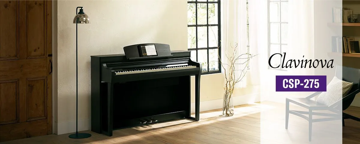 Music City – Tổng Kho Piano, Guitar, Organ | Dịch Vụ Giáo Dục Âm Nhạc