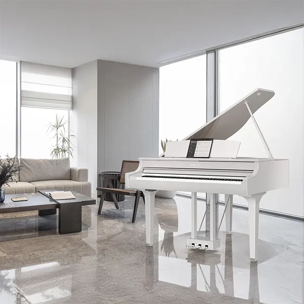 Music City – Tổng Kho Piano, Guitar, Organ | Dịch Vụ Giáo Dục Âm Nhạc