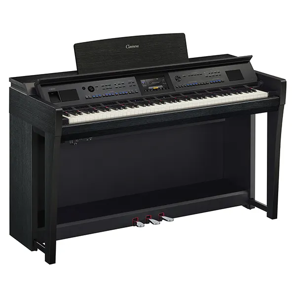 Music City – Tổng Kho Piano, Guitar, Organ | Dịch Vụ Giáo Dục Âm Nhạc