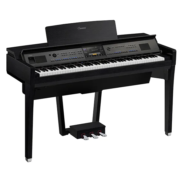 Music City – Tổng Kho Piano, Guitar, Organ | Dịch Vụ Giáo Dục Âm Nhạc