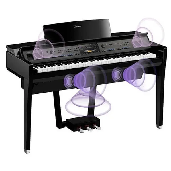 Music City – Tổng Kho Piano, Guitar, Organ | Dịch Vụ Giáo Dục Âm Nhạc