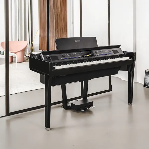 Music City – Tổng Kho Piano, Guitar, Organ | Dịch Vụ Giáo Dục Âm Nhạc