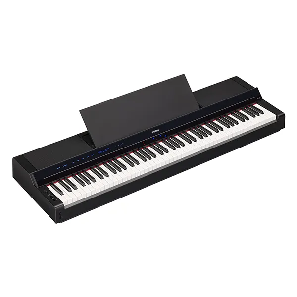Music City – Tổng Kho Piano, Guitar, Organ | Dịch Vụ Giáo Dục Âm Nhạc