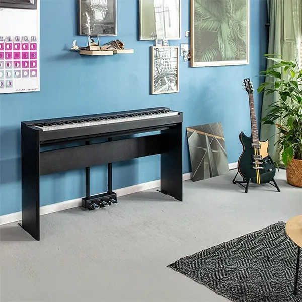 Music City – Tổng Kho Piano, Guitar, Organ | Dịch Vụ Giáo Dục Âm Nhạc