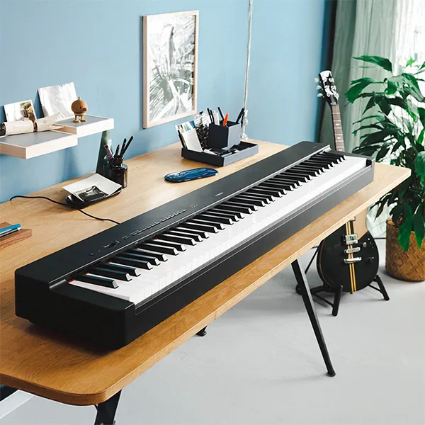 Music City – Tổng Kho Piano, Guitar, Organ | Dịch Vụ Giáo Dục Âm Nhạc