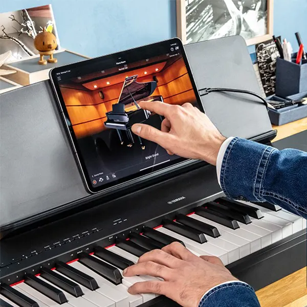 Music City – Tổng Kho Piano, Guitar, Organ | Dịch Vụ Giáo Dục Âm Nhạc