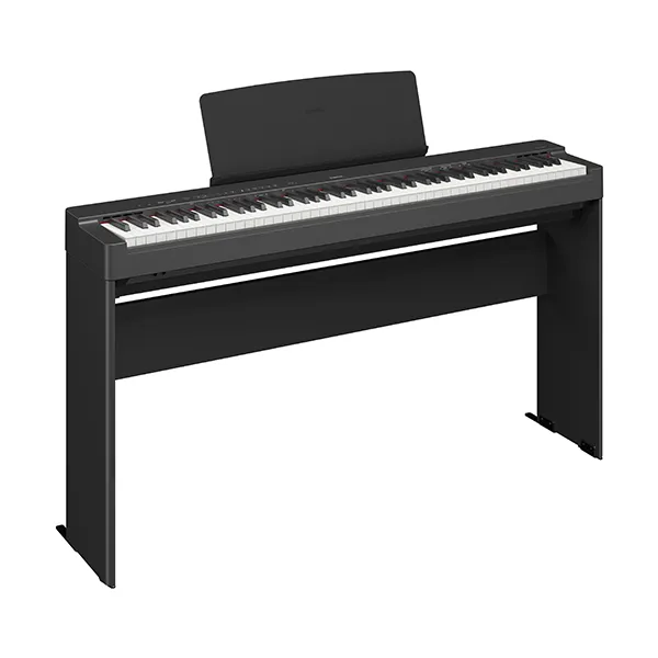 Music City – Tổng Kho Piano, Guitar, Organ | Dịch Vụ Giáo Dục Âm Nhạc
