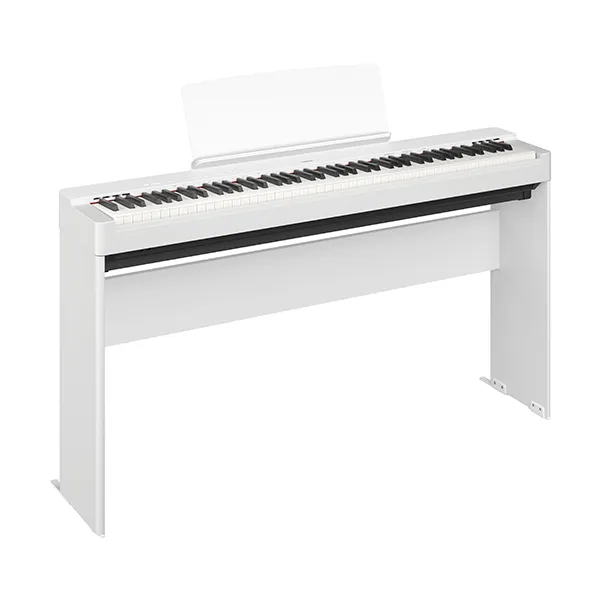 Music City – Tổng Kho Piano, Guitar, Organ | Dịch Vụ Giáo Dục Âm Nhạc