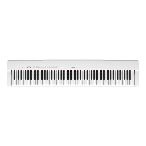 Music City – Tổng Kho Piano, Guitar, Organ | Dịch Vụ Giáo Dục Âm Nhạc