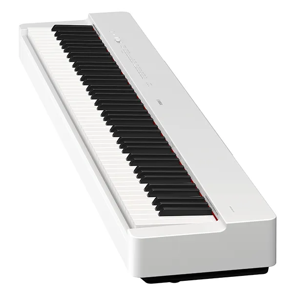 Music City – Tổng Kho Piano, Guitar, Organ | Dịch Vụ Giáo Dục Âm Nhạc